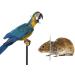Hemobllo Parrot Anti-Bite Collar | Bird Recovery & Safety Neck Cover | Wound Healing & Feather Protection - Buy Online on GoSupps.com