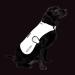 Proviz Sports 100% Reflective High-Vis Waterproof Dog Coat | Best for Safety & Comfort | International Shipping - Buy Online on GoSupps.com