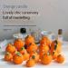 Orange Aromatherapy Soy Candle - Chic & Cute for Home Bath Weddings & Gifts | Perfect for Mother's Day Thanksgiving & Birthdays - Buy Online on GoSupps.com