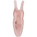 Verdant Touch Nose Up Scraper - Pain-Free Facial Lift & Massage for Women | Brown Resin Nose Clips - Buy Online on GoSupps.com