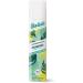 Batiste Dry Shampoo Spray Original Scent 200-ml (Packaging may vary) & Dry Shampoo Spray Original Scent Mini Size Refresh Hair and Absorb Oil Between Washes - Buy Online on GoSupps.com