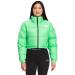 The North Face Women's Nuptse Jacket M Chlorophyll Green