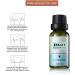 Moriacation Breast-Filling Essential Oil - Natural Tightening & Enhancement with Grape Seed Oil | Nourishing Massage Oil for Breast Enlargement (2-Pack) - Buy Online on GoSupps.com