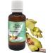 Organic Hazel Gemmotherapy 30ml - Pure Bud Extract for Digestive and Joint Wellness - Buy Online on GoSupps.com