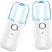 Beavorty 3pcs Nano Water Replenishing Instrument Mini Humidifier Steamer Portable Usb Charged Humidifier Face - Buy Online on GoSupps.com