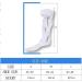 Adjustable Ankle Joint Support for Plantar Fasciitis Relief - Small Right Size | Tendon Stretching & Foot Orthotics - Buy Online on GoSupps.com