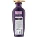 Ryoe Ryo e Korean Jayang Shampoo for oily scalp purple 400ml - Buy Online on GoSupps.com