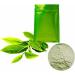 Green Tea Oral Care Powder - Whitening Smoke & Coffee Stain Removal Freshens Breath | International Shipping - Buy Online on GoSupps.com