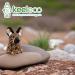 Deluxe Paws Plush Eco Toys - 100% Recycled Material for Hunting Dogs - Buy Online on GoSupps.com