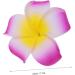 Ipetboom Accesorios Para Flower Hairpin Foam Hair Clips Hair Accessory for Girls Plumeria Hair Clips for Girls Floral Hair Accessories Tropical Flower Hair Clip Bows for Hair Hawaii Summer - Buy Online on GoSupps.com