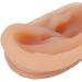 Simulated Ear Model for Earring Display - Skin Friendly, Professional & Soft | RTLR Display - Buy Online on GoSupps.com