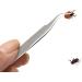 FEPITO 3 Pcs Stainless Steel Tick Remover Tool Set Pet Dogs Cats Ticks Remover Kit Including 1 PCS Tick Removal Tweezers and 1 PCS Sharp Rake - Buy Online on GoSupps.com