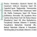 Miracell Skin Relief & Support Serum - Nourishing Oils: Apricot Coconut Sesame Jojoba Avocado Camellia Rosehip & Vitamin E - 2 oz | Buy Internationally - Buy Online on GoSupps.com