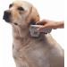 Electronic Flea Comb Zapper Epilady - Electric Flea Killer Safe for Cats Dogs Pets Animals Detects Controls Destroys Kills Fleas No Toxins or Chemicals Anti-Flea Comb Battery Operated EP40120UK - Buy Online on GoSupps.com