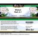 Shop Walnut Bark 4:1 Cream (2 oz) - Premium Herbal Remedy - Fast International Shipping - Buy Online on GoSupps.com