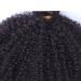 Feibin Mongolian Afro Kinky Curly Human Hair Bundles - 8-12 Inches - Virgin Hair Weave for Black Women - Buy Online on GoSupps.com