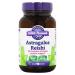 Oregon's Wild Harvest Astragalus Reishi Organic Herbal Supplement, 90 Count