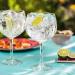 Eden Bay Premium Light Mediterranean Tonic Water - 24 x 150ml Cans - Great Taste - Low Calorie Mixer - 100% Natural Ingredients - Buy Online on GoSupps.com
