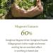 Mugwort Gel Cleanser 150ml | Soothing Low pH Herbal Face Wash for Sensitive Skin | Vegan & Hypoallergenic - Buy Online on GoSupps.com