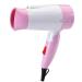 Hair Dryer - Grade Professional Hair Dryer Ac Motor Negative Ionic Ceramic Blow Dryer with Cold Shot Button Diffuser and Concentrator