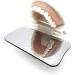 Spuzzo 5-Piece Dental Orthodontic Intraoral Reflector Mirror Set | Two-Sided Photography & Occlusion Tools - Buy Online on GoSupps.com
