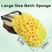 3 Pack Loofah Bath Sponges for Exfoliating and Cleansing | Ultra Soft Honeycomb Body Sponge Set for Shower | Men, Women, Children - Buy Online on GoSupps.com