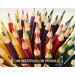 Art Magic Watercolor Pencils Set - 48 Professional Colored Pencils for Adults & Teens - Premium Supplies for Coloring, Blending & Layering - Buy Online on GoSupps.com
