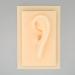Silicone Ear Model Vivid Shape Durable Wearable Comfortable Soft Human Ear Model Glossy Texture Safe Practical for Teaching Demonstration(Left) - Buy Online on GoSupps.com