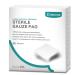 Sterile Gauze Pads, Non-Woven 6-Ply Medical Gauze Pad, 4 x 4 inches Gauze Sponges for Wound Care (20 Packs) 20 Count (Pack of 1)