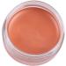 Pongnas Correcteur 5 Couleurs pour les Cernes les Poches Sous les Yeux Texture Facile Appliquer Taille Mini L g re avec Texture D licate (FC04) - Buy Online on GoSupps.com