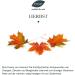 Saunabedarf Schneider Infusion Concentrate Autumn - Fruity-Floral & Earthy Sauna Aroma 1000ml - Perfect for Relaxation - Buy Online on GoSupps.com