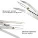 Dr.Pedi Eyebrow Golden Ratio Caliper Stencil - 2 Piece Set | Microblading Permanent Makeup Tool - Buy Online on GoSupps.com