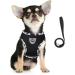 Femax Dog Harness & Linen Set Soft Mesh Puppy & Cat Reflective Breathable Adjustable Vest for Walking Running Training XS (26-29 cm) Black Cows - Buy Online on GoSupps.com