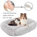 OUTAIWEN Professional Dog Nail Clippers for Large, Medium, Small Dogs - Safety Toenail Trimmers for Grooming | Pet Nail Clipper for Puppies - Buy Online on GoSupps.com
