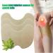 Knee Patch Stickers with Wormwood Extract - Joint & Shoulder Pain Relief (60pcs) | Fast International Shipping - Buy Online on GoSupps.com