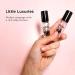 Well's Oil Perfume Oil Roll-On 10 ml / 0.33 fl Oz I Clean Rich Pure Scent Alcohol-Free Oil Based Long Lasting Concentrated Roll-on Perfumes for Women and Men (Midnight Sugar Type) 99. Midnight Sugar - Buy Online on GoSupps.com