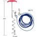 Dog Tie Out Cable and Stake 30ft Outside Dog Leash & Chain for Camping and Yard 16'' Heavy Duty Anti Rust Spiral Stake for Medium-Large Dogs Up to 125 lbs (30FT Blue) - Buy Online on GoSupps.com
