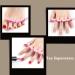 Rosa Silicone Heart Separator Nail Soft Foam Toe Separator & Finger Spacer for Pedicure (2 Pack) | Shop Internationally - Buy Online on GoSupps.com