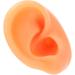 Silicone Fake Acupuncture Ear Model - Waterproof & Flexible for Earrings Display (Right) - Buy Online on GoSupps.com