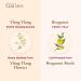 Gya Labs Ylang Ylang & Bergamot Essential Oils 10ml - 2 in 1 Pack for Aromatherapy & Wellness | International Shipping Available - Buy Online on GoSupps.com