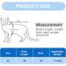 Katzbody Cat Recovery Suit - After Op Clothing for Cats | Anti-Trimming & Leak Protection for Skin Disease & Weaning - Buy Online on GoSupps.com