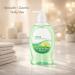 Citrus Scent Liquid Hand Soap for Everyday Hand Washing Smooth Hand Wash for Home Kitchen or Bathroom Use Pump Bottle 11.25 fl oz - Buy Online on GoSupps.com