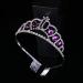 Shop Lurrose Purple Rhinestone Tiara for Toddlers - Birthday & Photo Accessories - Buy Online on GoSupps.com