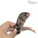 Parcelona France Onde Celluloid Tortoise Shell Hair Claw - 2 3/4 Inch - Buy Online on GoSupps.com
