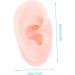 Lurrose 2pcs Silicone Ear Mold Piercing Tools - 3D Ear Jewelry Display & Practice Tool - Body Flesh Color - Anatomy Silicone Mold - Buy Online on GoSupps.com
