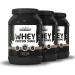 Layenberger WHEY Protein Shake - 66% Protein 14.7% BCAA Muscle Building - Cocoa Flavor 750g - International Shipping Available - Buy Online on GoSupps.com
