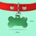 Ibera Gifts - Personalized Bone Shaped Pendants for Small to Medium Dogs & Cats - Custom Engraved Collar Tags (Green Paws) - Buy Online on GoSupps.com