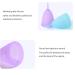 PATILWON Menstrual Cups 2 Pack Period Cup with Micro-Wave Oven Box Holder Purple&pink Large - Buy Online on GoSupps.com