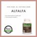 Remedy's Nutrition Alfalfa Capsules - 1000mg per Capsule - Vegan - 60,000mg per Bottle - Buy Online on GoSupps.com