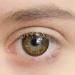 Matlens Geolica Brown Royal Cafe Colored Contact Lenses - Big Eyes WPM-506 | 2 Lenses + Case + 50ml Care Solution | 5.75 Diopters - Buy Online on GoSupps.com